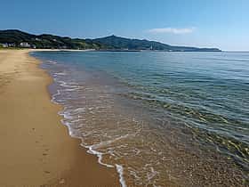 吉佐美大浜海水浴場