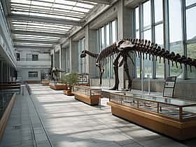 プラザロコ・ロコミュージアム