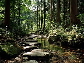 伊豆下田乗馬クラブ