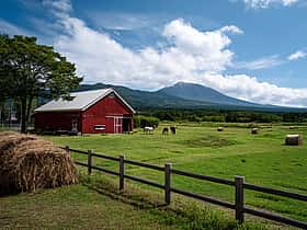 富士ミルクランド