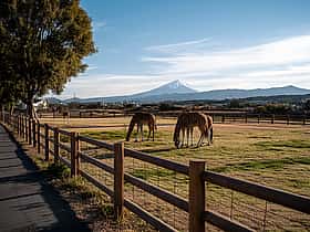 湯らっくす公園